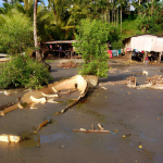 Emergenza nel Pacifico: la furia del Ciclone Maila travolge la Papua Nuova Guinea